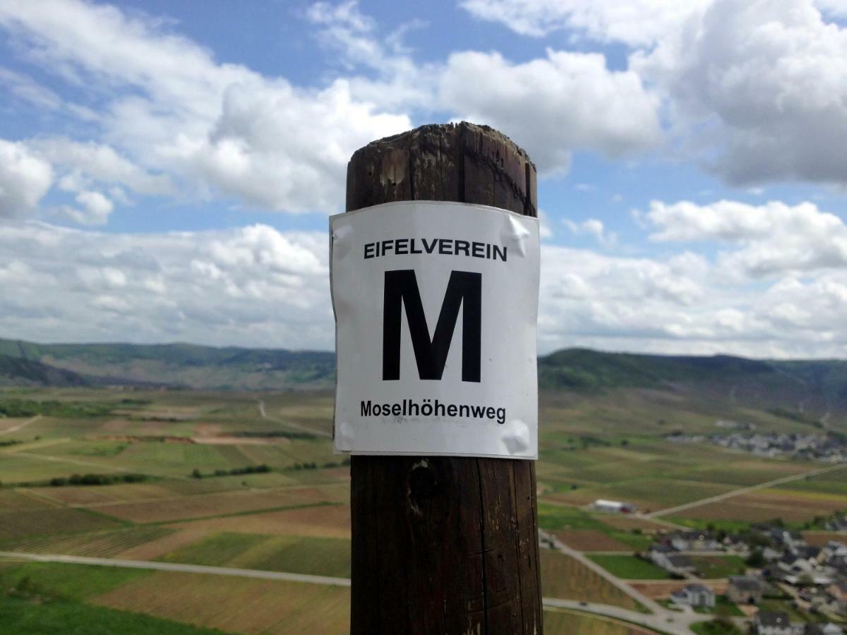 Gaestehaus Hoffmann Farschweiler Kültér fotó